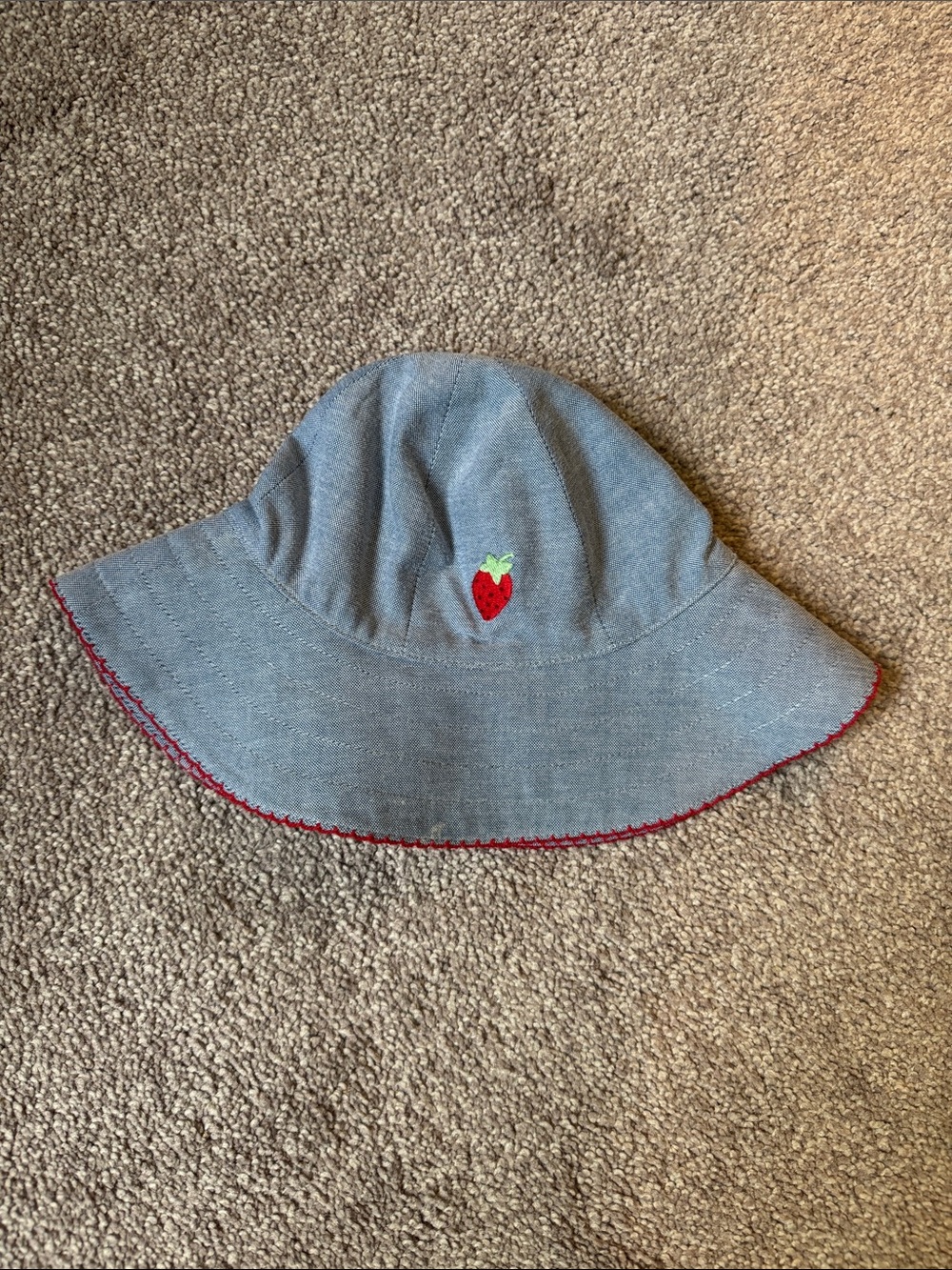 Never worn. Janie and Jack Strawberry Embroidered Sun Hat